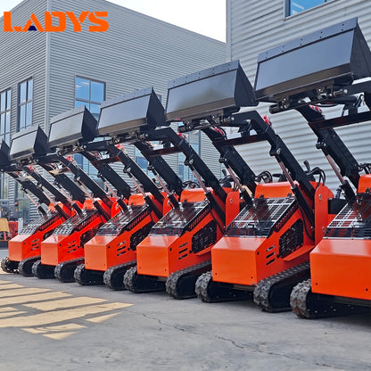 LADYS LA580 Mini Skid Steer Loader For Sale